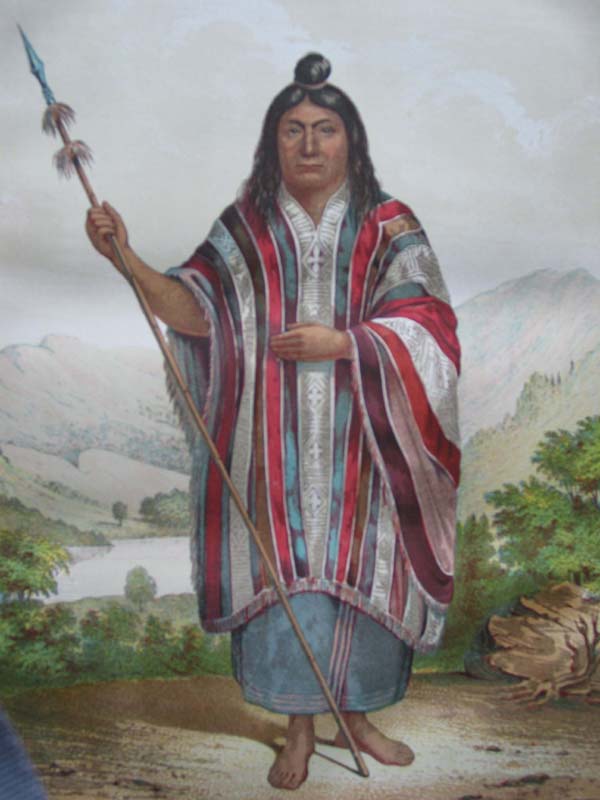 chiefaraucanien
